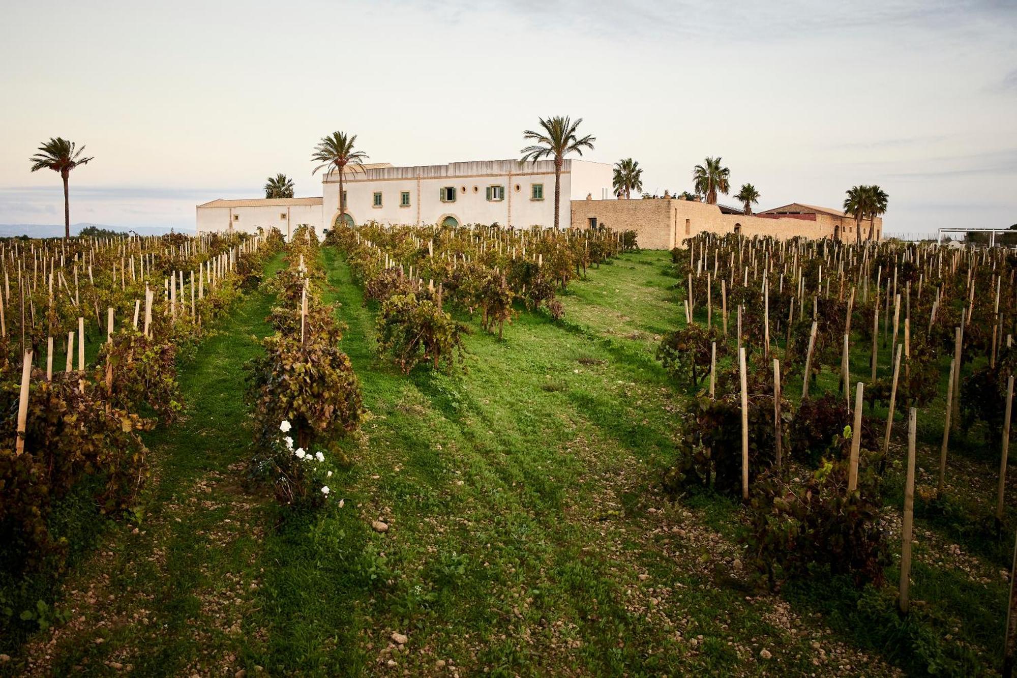 Agriturismo Baglio Donnafranca Wine Resort Марсала Экстерьер фото
