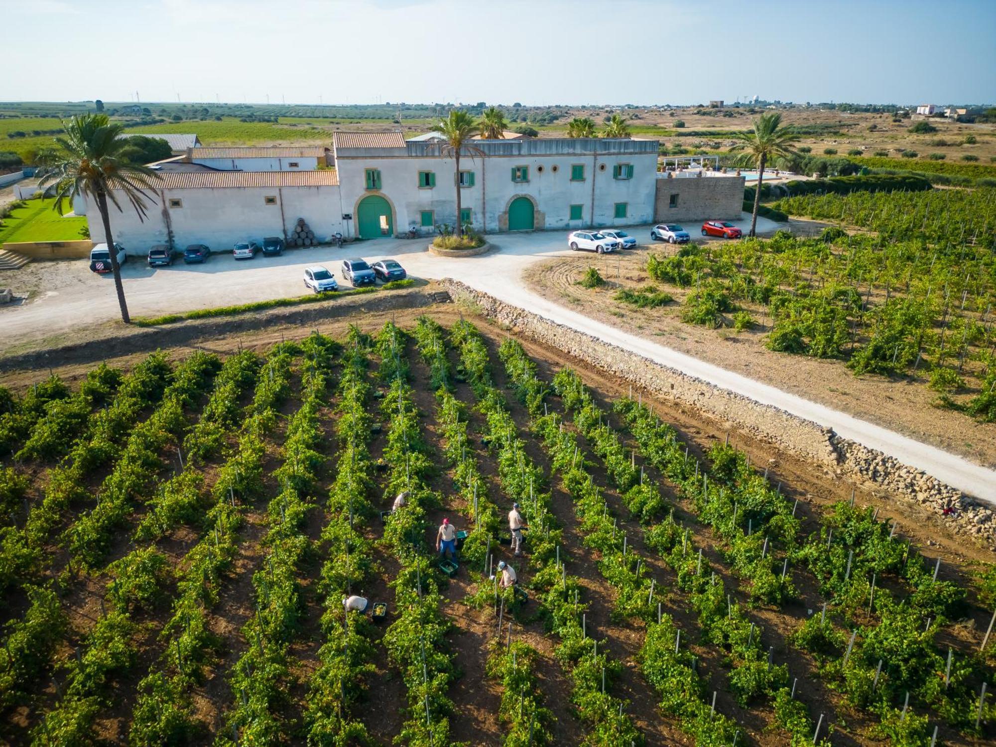 Agriturismo Baglio Donnafranca Wine Resort Марсала Экстерьер фото