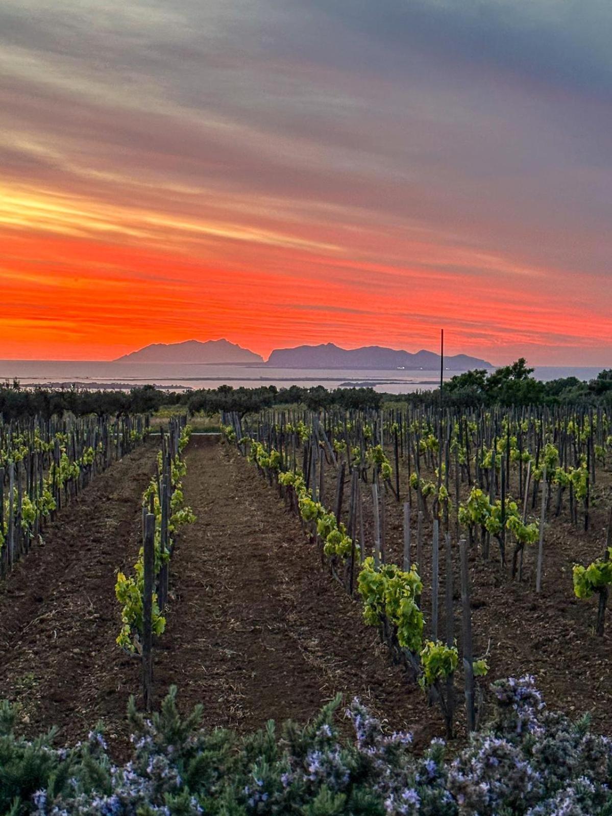 Agriturismo Baglio Donnafranca Wine Resort Марсала Экстерьер фото