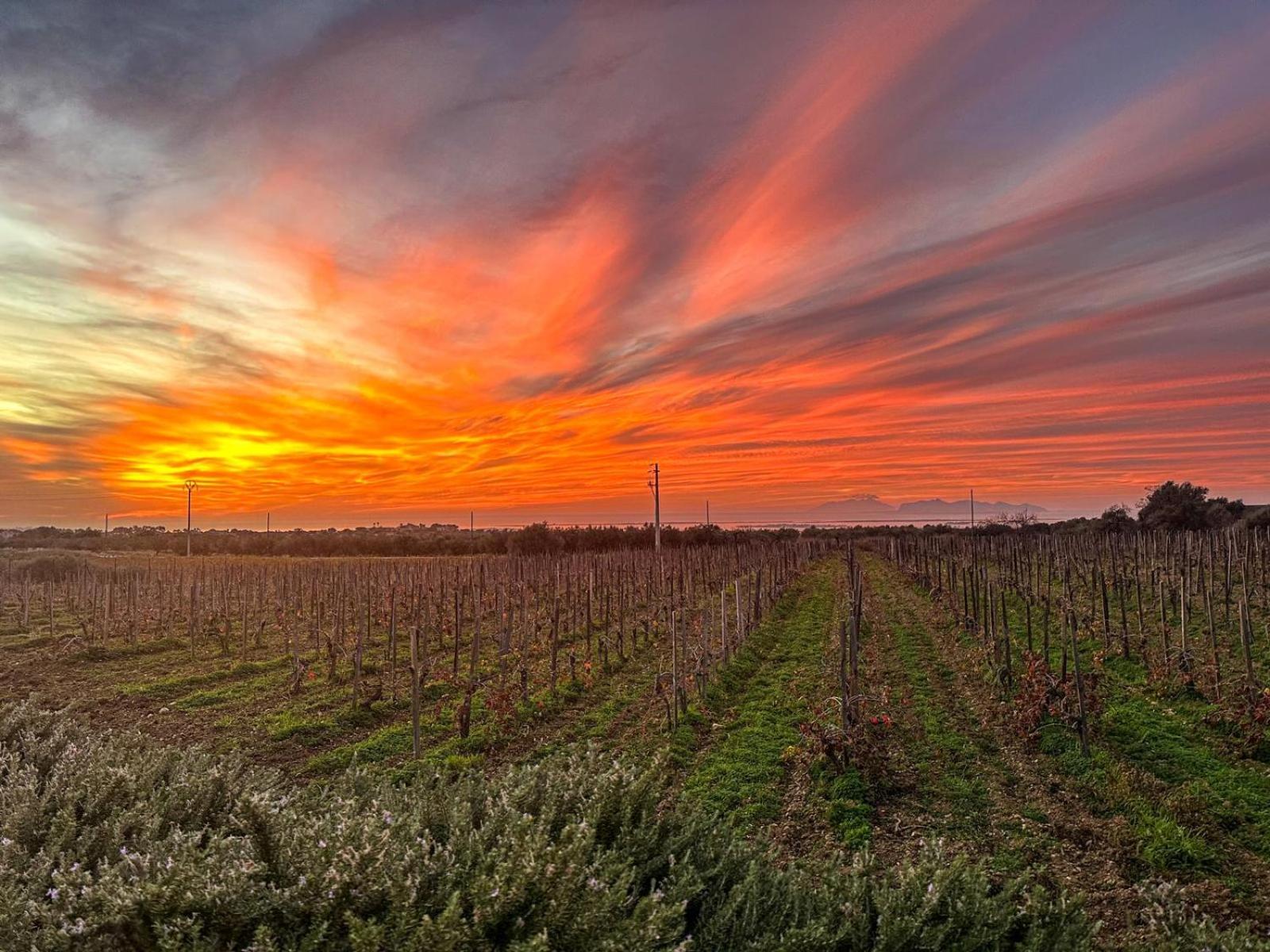 Agriturismo Baglio Donnafranca Wine Resort Марсала Экстерьер фото
