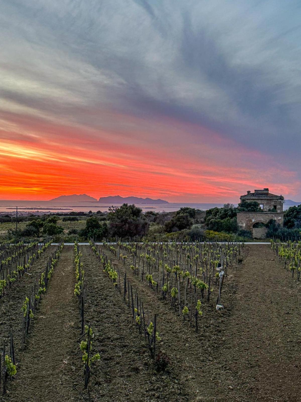 Agriturismo Baglio Donnafranca Wine Resort Марсала Экстерьер фото