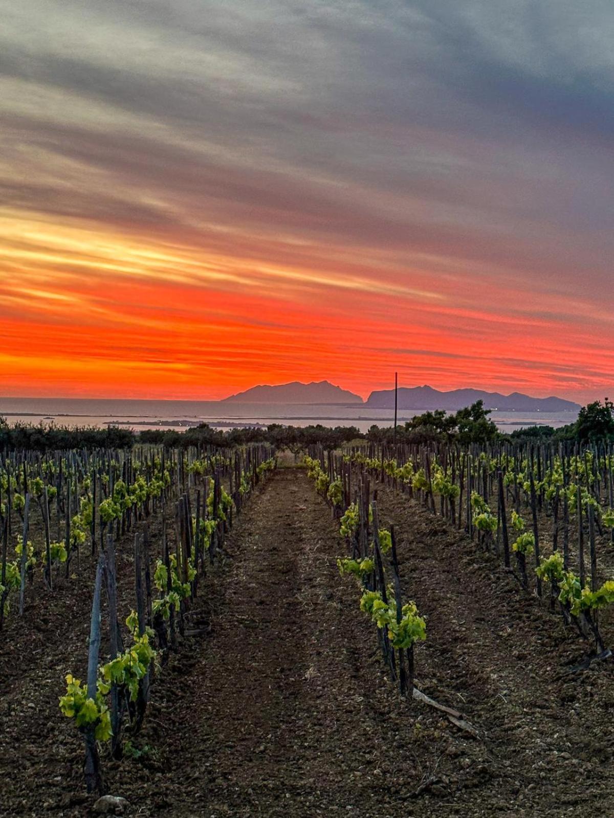 Agriturismo Baglio Donnafranca Wine Resort Марсала Экстерьер фото