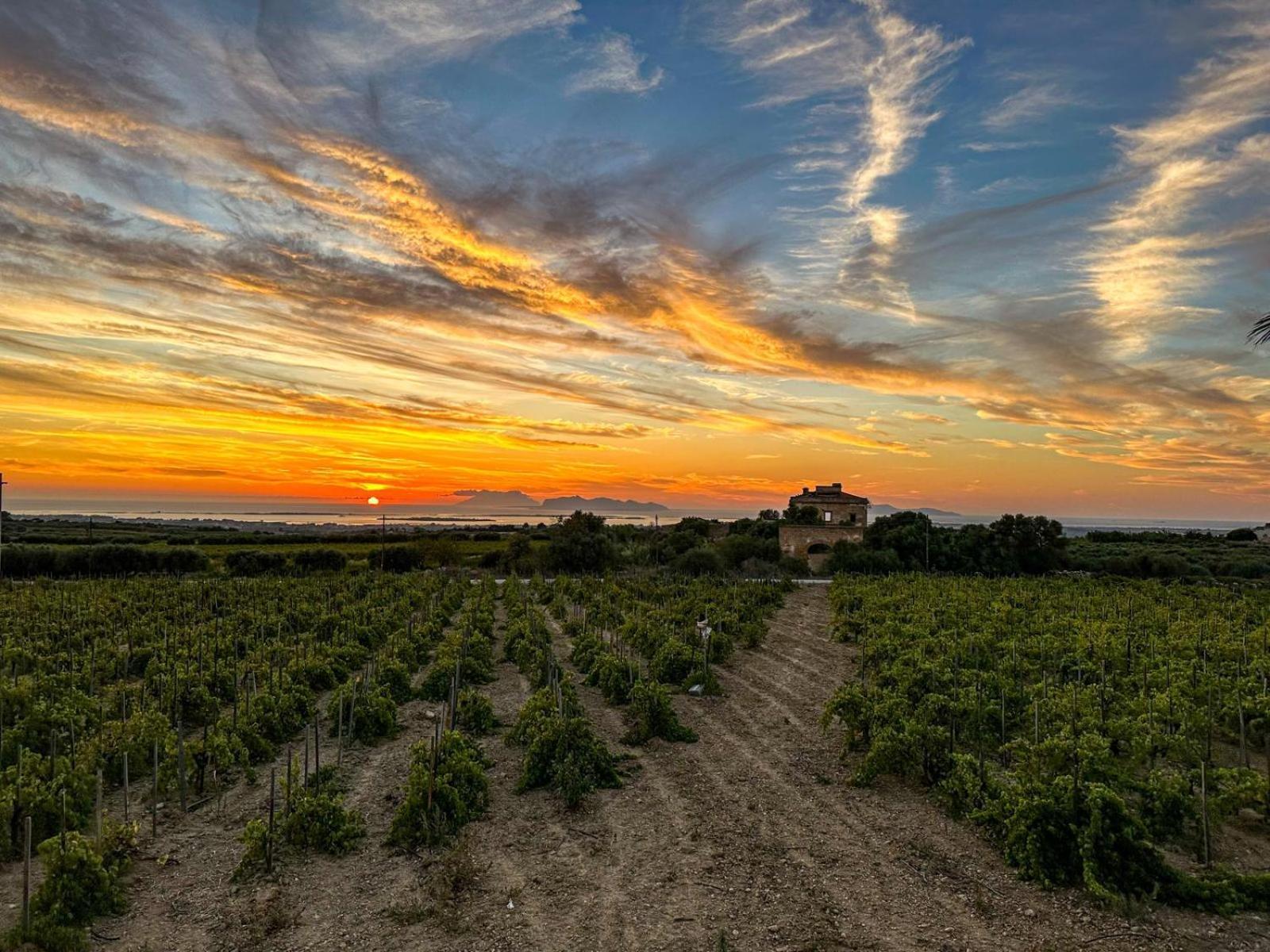 Agriturismo Baglio Donnafranca Wine Resort Марсала Экстерьер фото